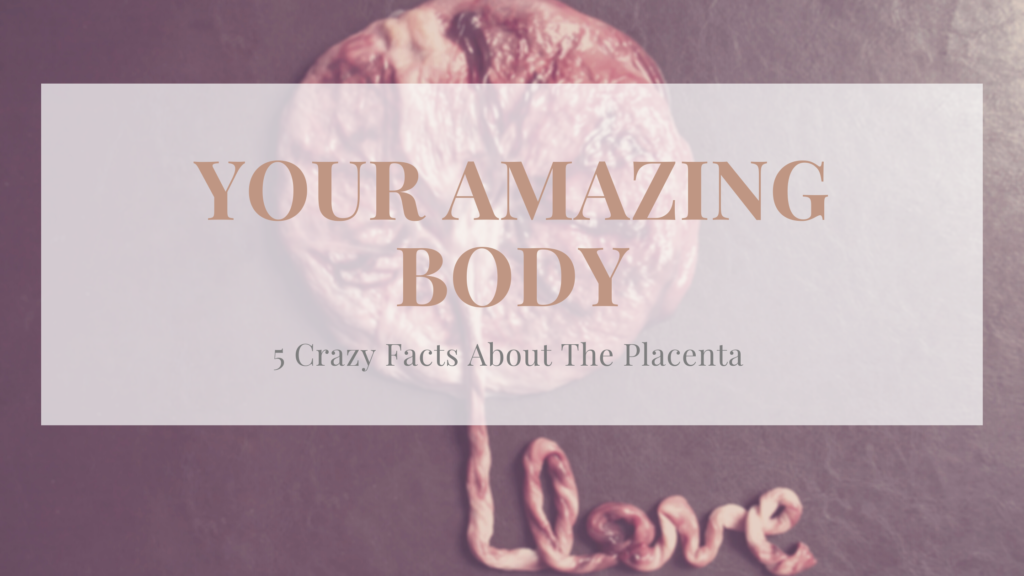 Facts About The Placenta