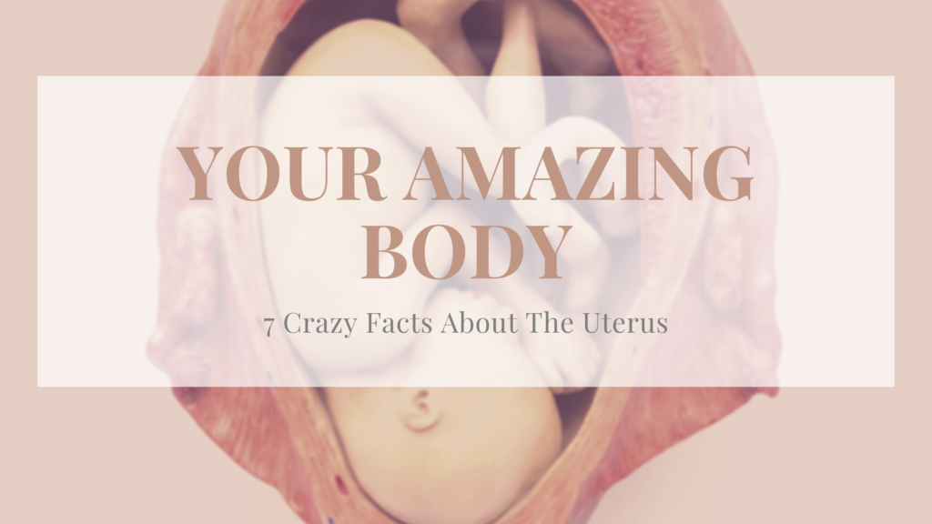 7 Crazy Facts About The Uterus